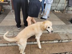 -聚会山庄·派对会议团建别墅轰趴馆(中兴和园店)