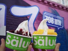 -Salud撒露欧洲冻酸奶(798艺术区店)