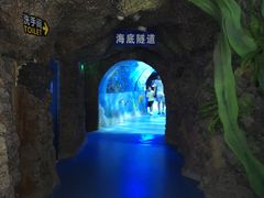 -嘉兴海底世界