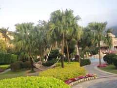 酒店的花园-三亚亚龙湾凯莱仙人掌度假酒店