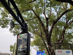 -零陵古城