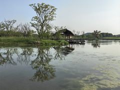-良渚古城遗址公园
