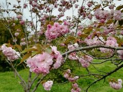 -蜀冈西峰生态公园