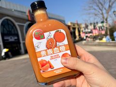 -Mr.Fruits水果先生(蓝色港湾店)