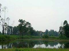 -白鹭湾湿地公园