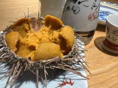 -桂马·日本料理·海胆·海鲜饭·酒场(民主广场店)