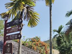 -海南槟榔谷黎苗文化旅游区