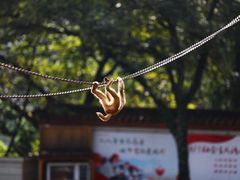 -昆明动物园