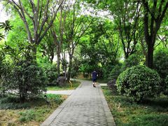 -唐城墙遗址公园