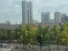 -成都尼依格罗酒店