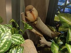 -湘当爱·鲜煮现炒(松岗立业路店)