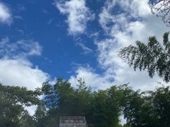 -井冈山革命烈士陵园