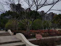 景点-新江湾城公园