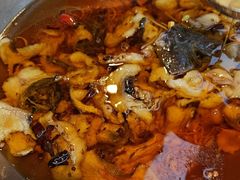 水煮鱼（鮰鱼斤）-正兴蜀园(科技园区店)