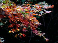 -岳麓书院