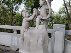 -银湖山郊野公园-相思林