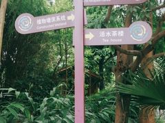 -成都市活水公园