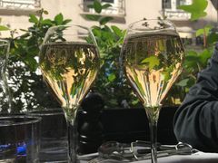 -金蜗牛