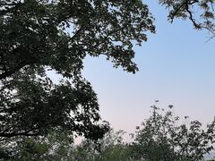 -北京鹫峰国家森林公园