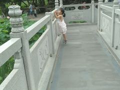 -莲湖公园