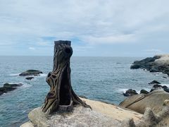 -三亚蜈支洲岛旅游区