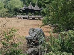 -红梅公园