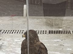 -鄂尔多斯野生动物园