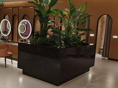 -神帆·元气汤泉(解放西路店)