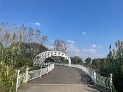 -同里国家湿地公园