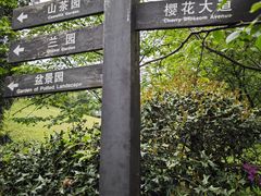 -南山植物园