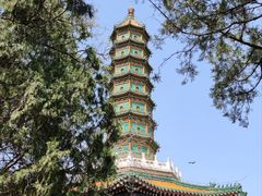 -香山公园