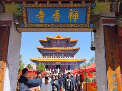 -曹州牡丹园