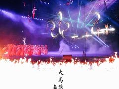 -广州长隆国际大马戏