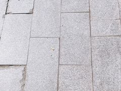 -海盗虾饭·剥好的小龙虾饭(上地辉煌店)