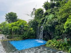 -广州白天鹅宾馆