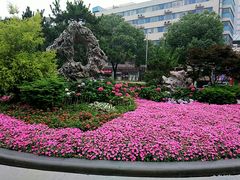 -常州古运河南大街文化旅游区-人民公园