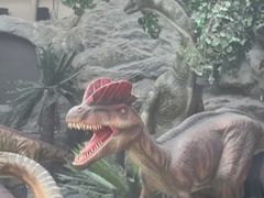 -国家自然博物馆