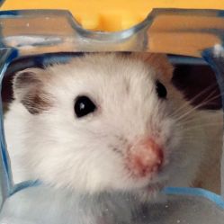 -悦芳庭美肤美体品牌集合店