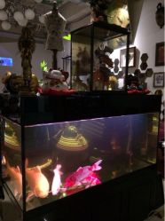 iphone_upload_pic-周忆刺青原创设计定制