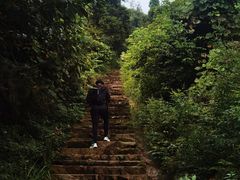 -冶父山国家森林公园