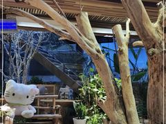 -渔太泰漓江小馆·广西融合菜(西街店)