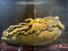 -东方山水乐园山之王国(全室内)