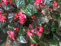 -驿舍·民國老营房院子私房菜(科学会堂店)