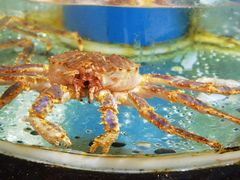 -盒马鲜生(悠方店)