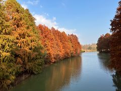 -上海海湾国家森林公园