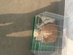 -秦美花卉(天朗·莱茵小城2期店)