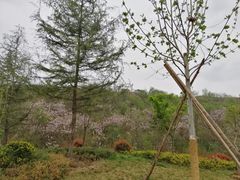 -渭南桃花源民俗文化园