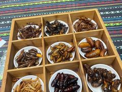 -昆虫窝子·特色云南菜(拓东路总店)