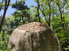 -鲁山国家森林公园