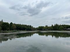 -新洲生态园